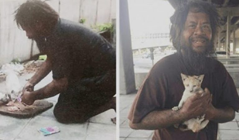 Homeless man always feeds stray cats before himself