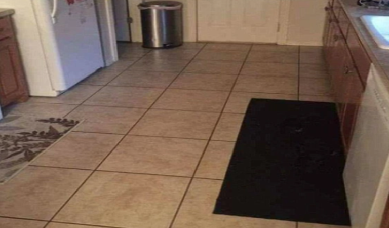 Can You Find the Dog in This Viral Image?