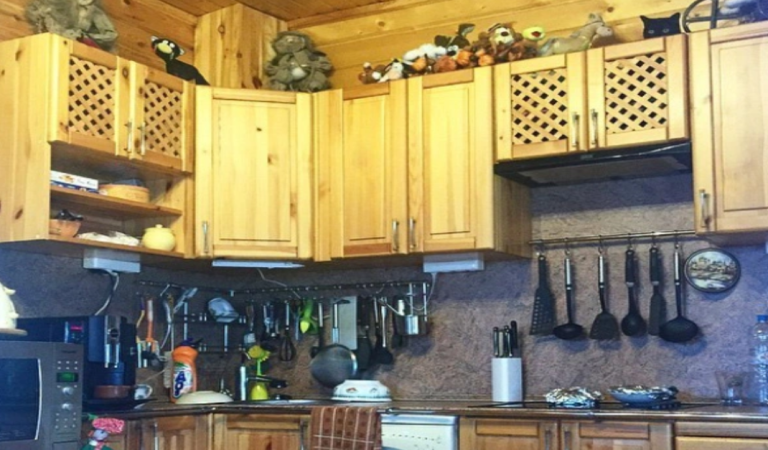 Only the smartest will find the cat hiding in this kitchen