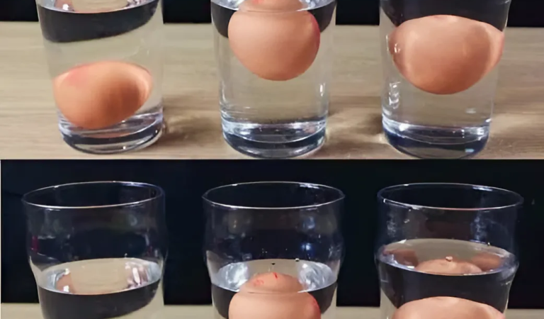 5 ways to tell if an egg is fresh or rotten