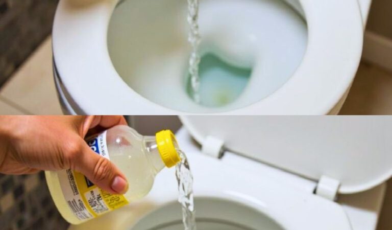 Unveiling the power of vinegar in toilet cleaning: Secrets your plumber won’t share