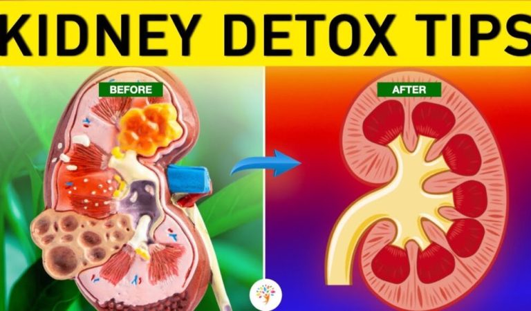 10 Indicators That Your Kidneys Could Be at Risk